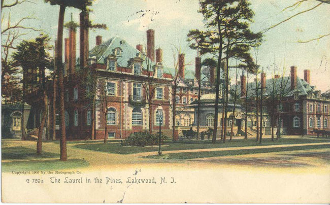 Laurel in the Pines manual cover