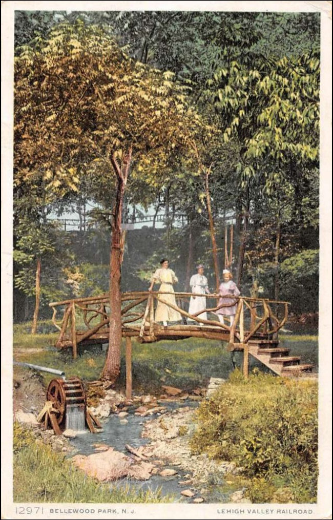 Bellewook Park manual cover