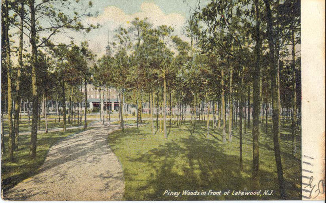 Piney Woods, Lakewood, NJ manual cover