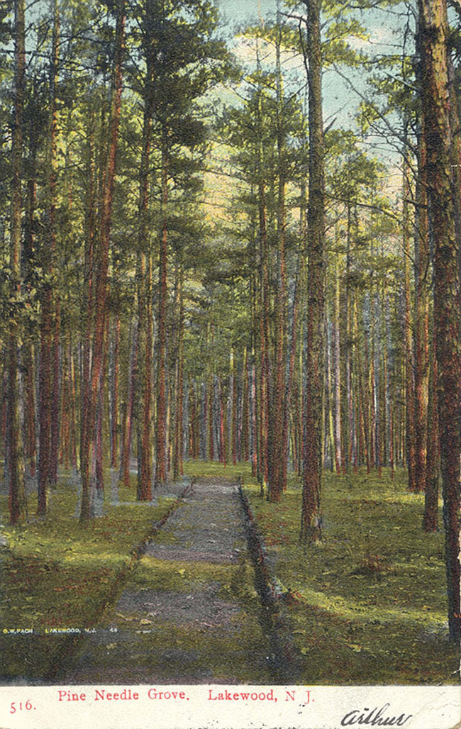 Pine Needle Grove, Lakewood, NJ manual cover