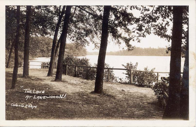 The Lake manual cover