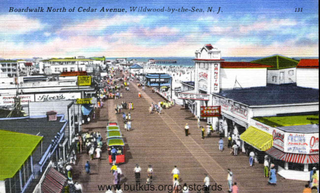 Wildwood Boardwalk - North of Cedar Ave manual cover