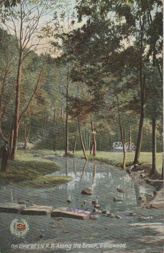 Bellewood Park Leigh Valley Railroad and brook manual cover