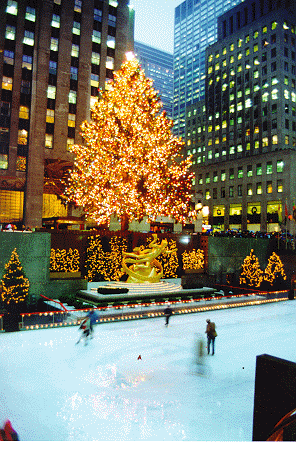 NYC tree