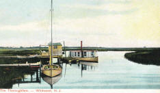 Historic Wild Wood NJ post card - The Thoroughfare - 1903