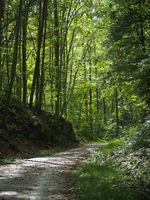 Columbia Trail, Hunterdon NJ 2025 season