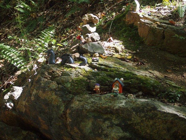 Columbia Trail, Hunterdon NJ 2025 season