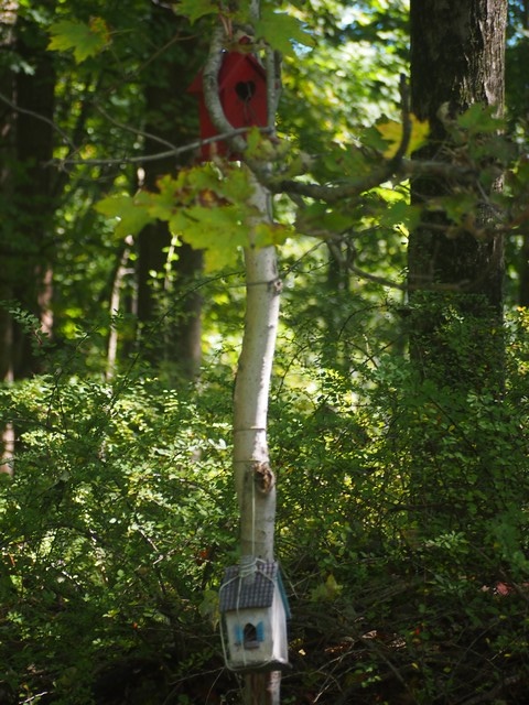 Columbia Trail, Hunterdon NJ 2025 season