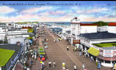 Historic Wild Wood NJ post card - North of Cedar Ave.
