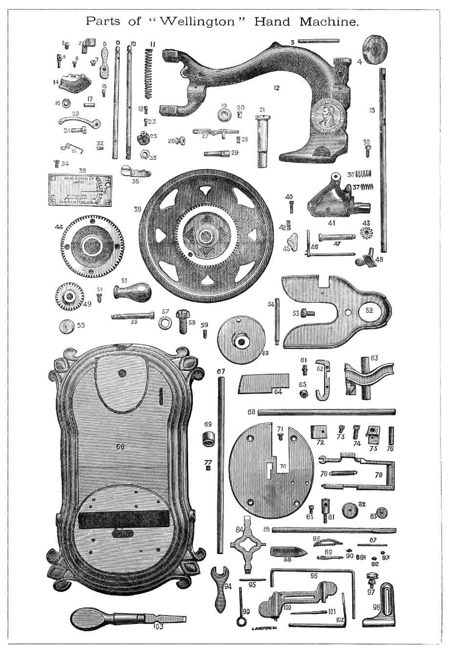 Bradbury Wellington illustration