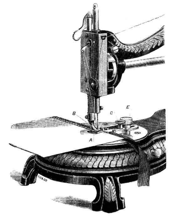 Jones Hand (Serpentine) illustration