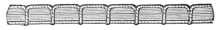 Bradbury Wellington illustration