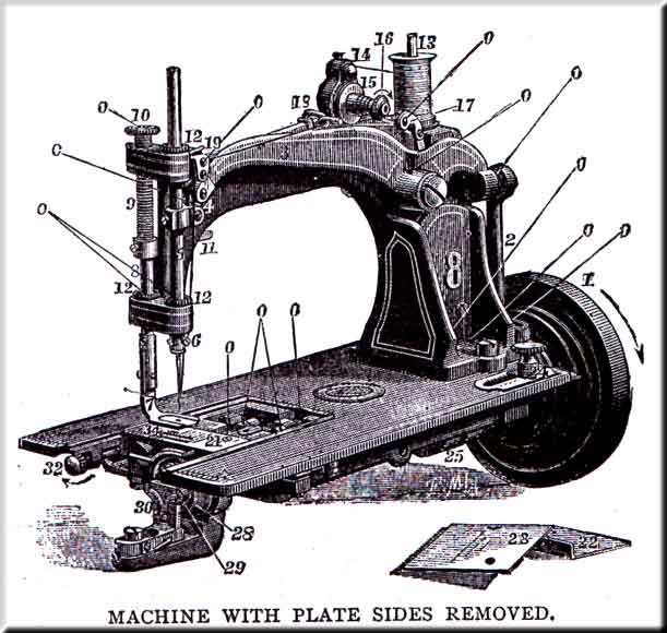 Wheeler & Wilson No.8 Treadle & Hand illustration