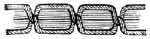 Jones Hand (Serpentine) illustration