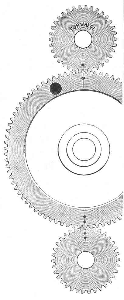 Jones Hand (Serpentine) illustration